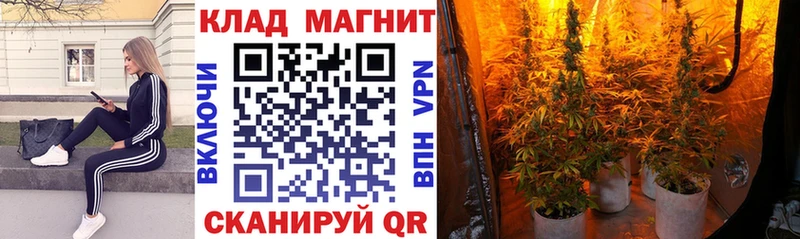 Галлюциногенные грибы Заозёрный