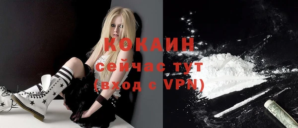 твердый Аркадак