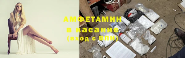 твердый Аркадак
