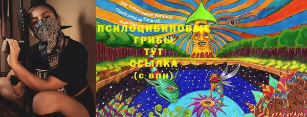 прущая мука Алзамай