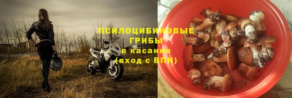 ALPHA PVP Арсеньев