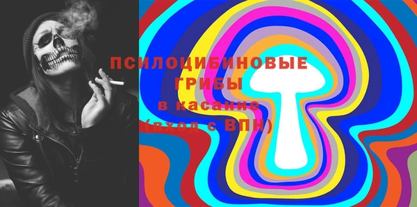 спиды Алексин