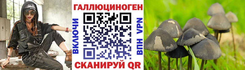 Галлюциногенные грибы GOLDEN TEACHER  где продают   Заозёрный 